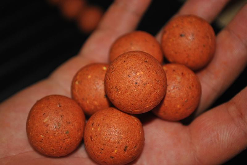 Boiliesuri critic echilibrate